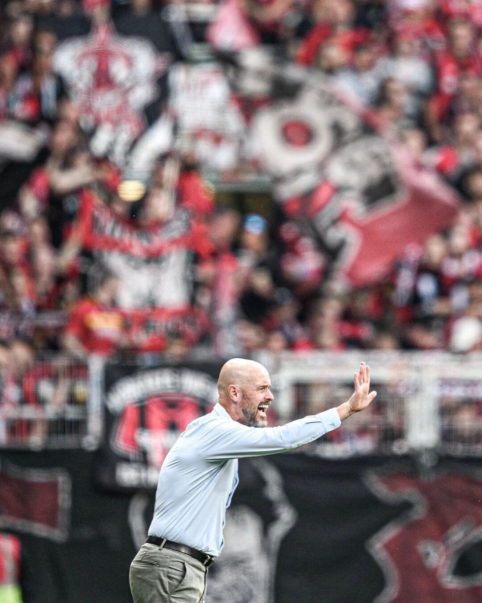 森高层召开, 格设定的球, 药厂高层甚